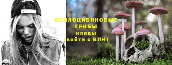 стафф Верхний Тагил